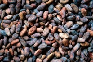 High-resolution image of raw cocoa beans, perfect for illustrating chocolate production.